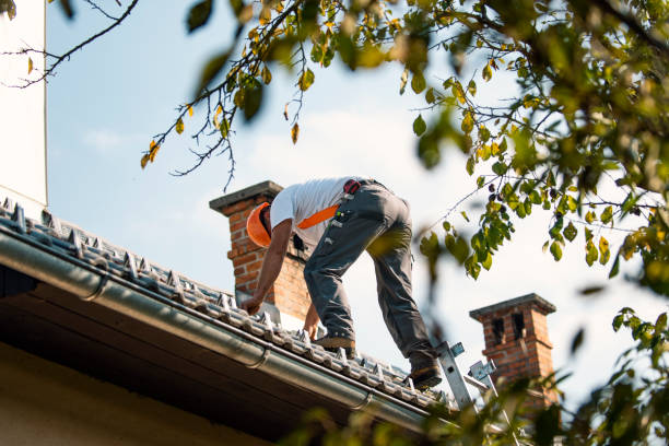 Best Storm Damage Roof Repair  in Montrose, NY